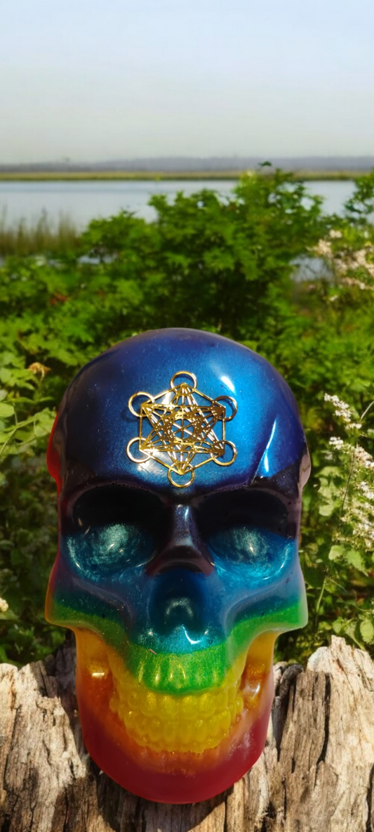 Skull
